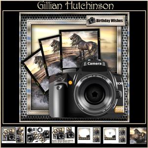 Through the Lens - Windswept Horse