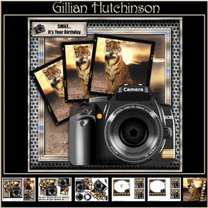 Through the Lens - Tiger