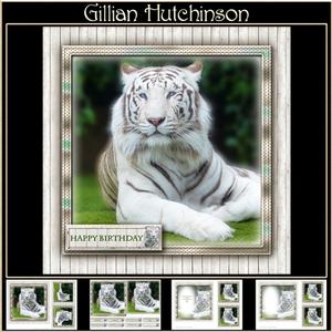 Tiger Tiger