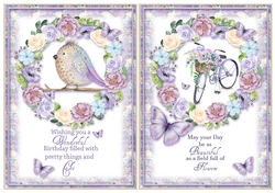 2 Birthday Bird & Bike Card Fronts