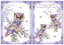 2 Owl Thank You/Birthday Card Fronts