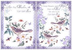 2 Little Bird Get Well Card Fronts