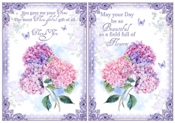 2 Thank You and Birthday Card Fronts