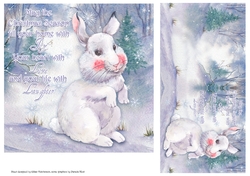 The Winter Rabbit