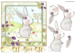 Little Bunny