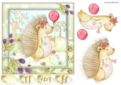 Little Hedgehog