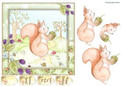 Little Squirrel
