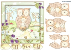 Little Owl