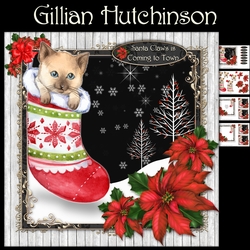 A Kitten for Christmas