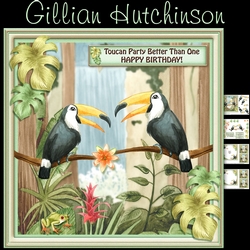 Toucan Party Better Than One!