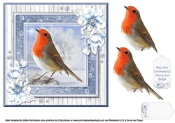 Little Robin