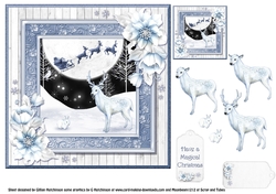 Winter Wonderland