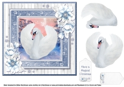 The Christmas Eve Swan