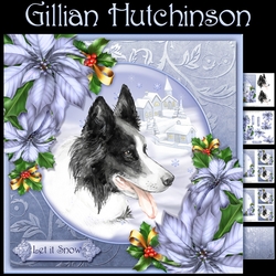 The Christmas Border Collie