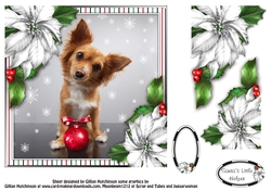 The Bauble