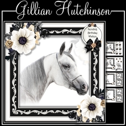 Arabian Horse