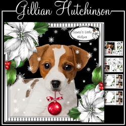 The Christmas Jack Russell