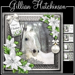 A Horse for Christmas