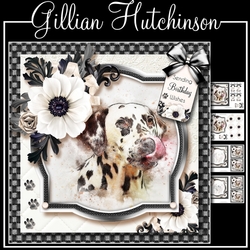 The Dalmatian