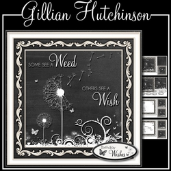 The Wish