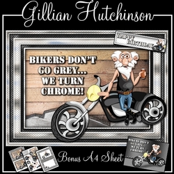 Bikers don`t go Grey