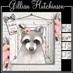 The Little Raccoon