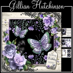 Midnight Butterflies