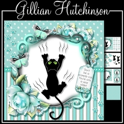 Scaredy Cat...It`s Just Another Birthday!