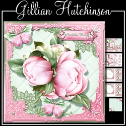 Pink Peonies