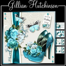 The Blue Satin Shoes
