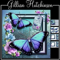 The Lilac Butterflies