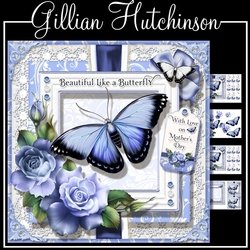 Beautiful Like a Butterfly