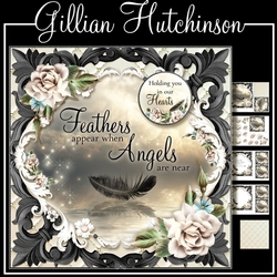 Feathers Appear when Angels are Near