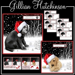 Santa Paws (Labs)
