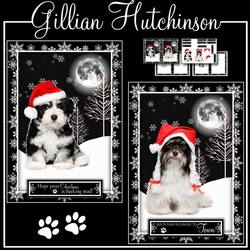 Santa Paws is Coming to Town
