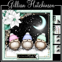 The Three Wise Owls