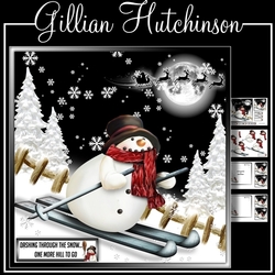 Skiing by with a Christmas Hi!