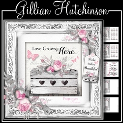 Love Grows Here