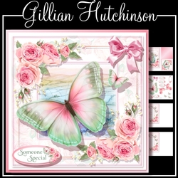 The Butterfly Field