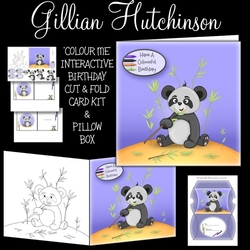 Colour Me Card Kit - Panda