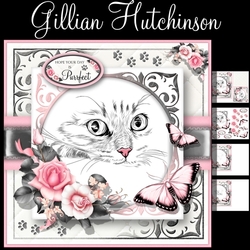 Hope Your Day is Purrfect!