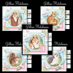 5 Bottom of the Garden Mini Kits