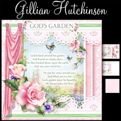 God`s Garden Pink Roses