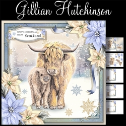 The Christmas Highland Cows
