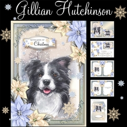 The Christmas Border Collie