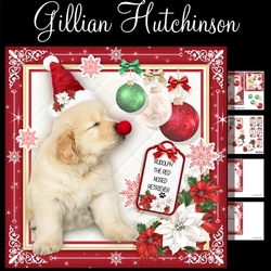 Rudolph the Red Nosed Retriever