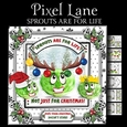 Sprouts are for Life Not Just for Christmas
