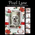 The Christmas Dalmatian