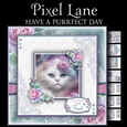 Have a Purrfect Day