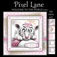 Welcome to the World (Girl)